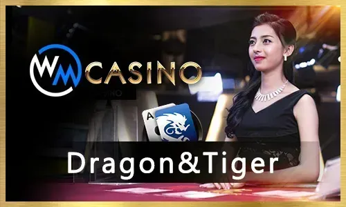 Secure Encryption at 22bet Casino.com